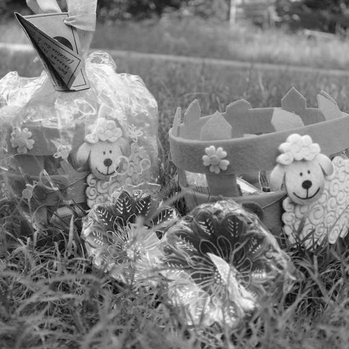 WASTE TO WEALTH CAMPAIGN